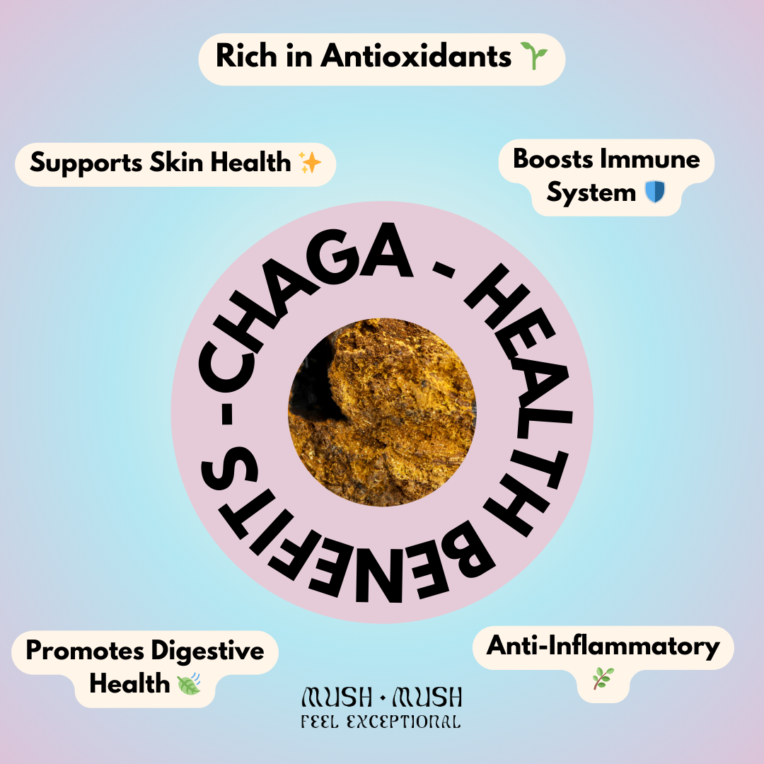 Organic Chaga – Antioxidant & Defence