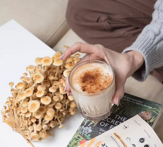 Choosing The Right Mushroom Blend For You