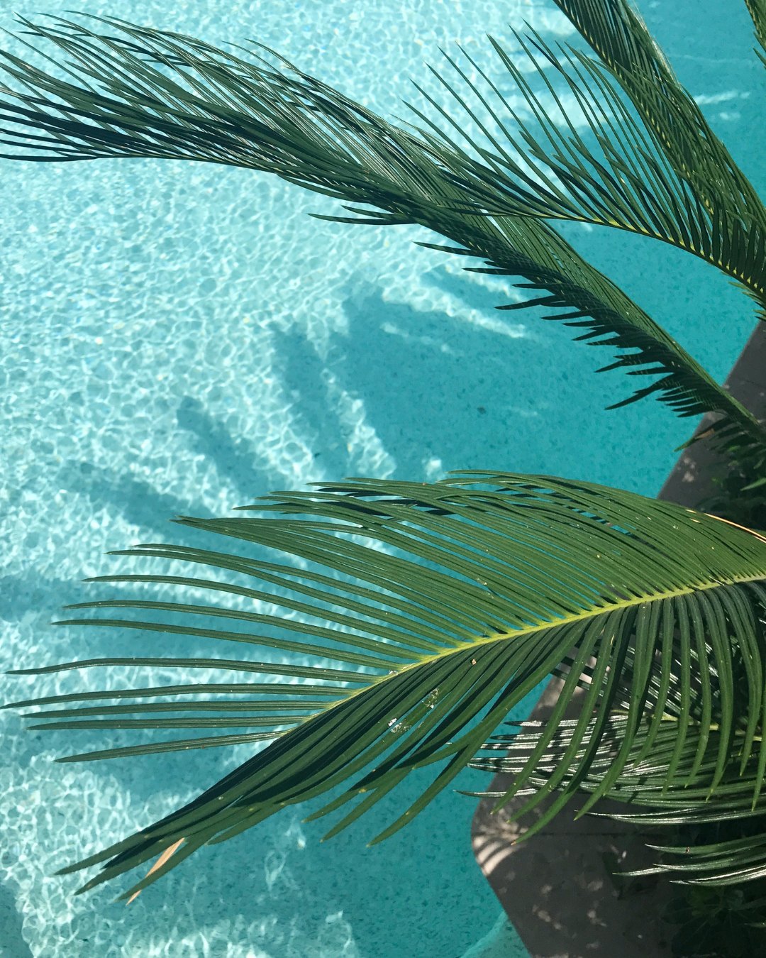 How Can I Prepare My Body for Spring and Summer?