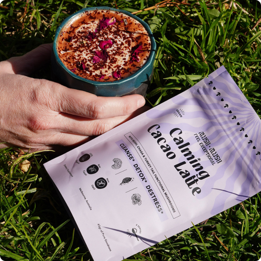 Why Cacao Is One of the Best Foods for Your Brain (And Why Calming Cacao Works So Well)