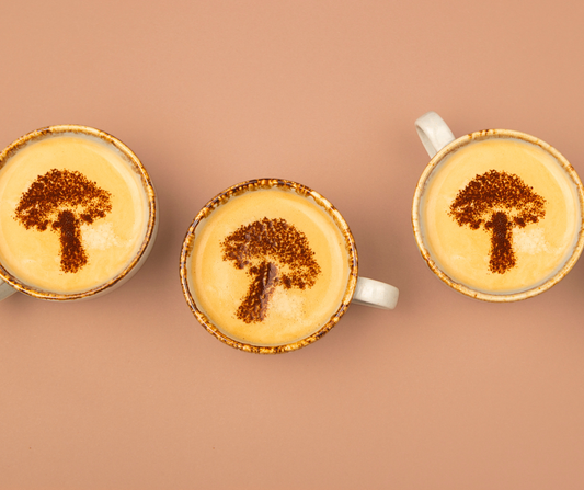 Does Mushroom Coffee Actually Work? What to Expect After 7, 14, and 30 Days