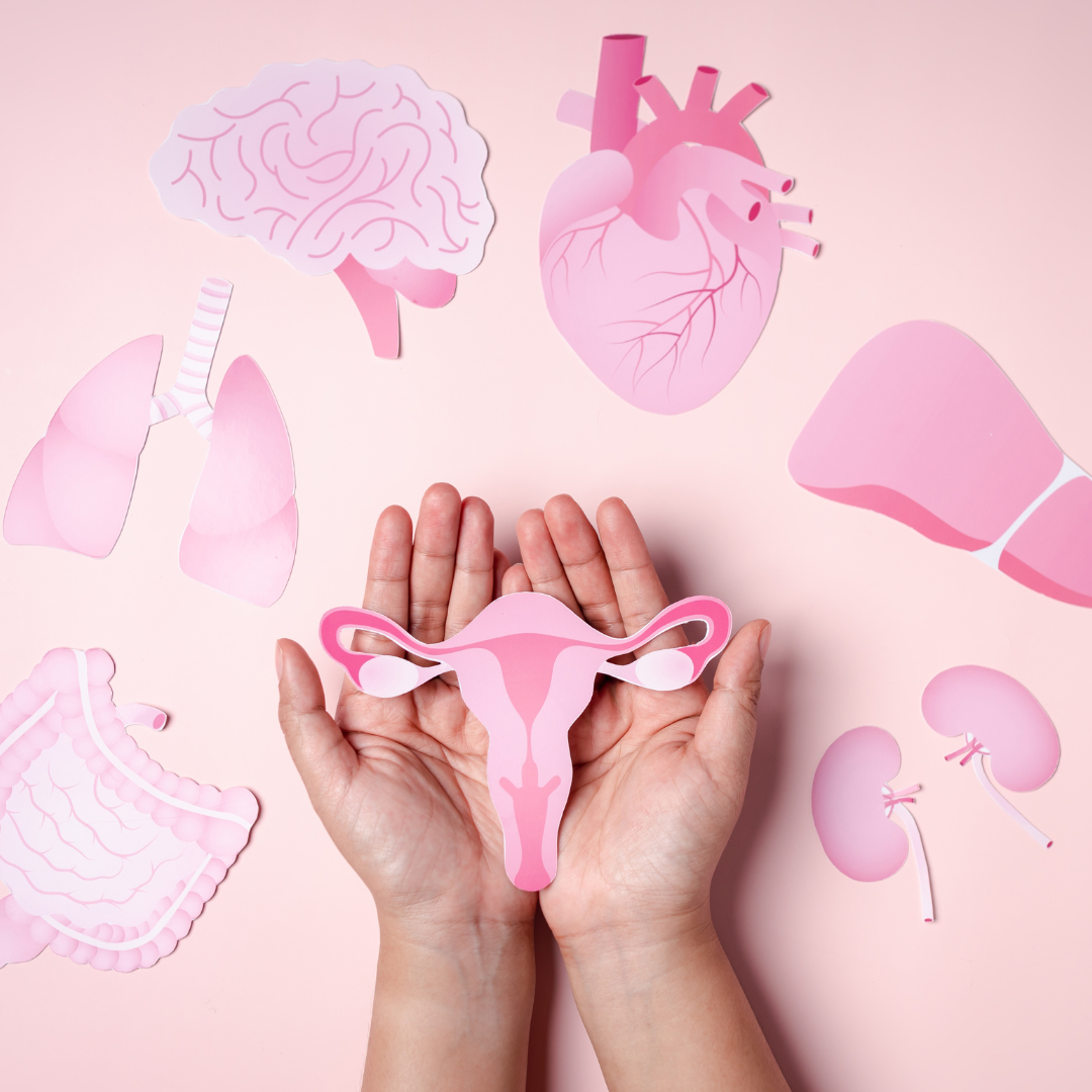 Mushrooms for Menopause = Natural Support for Hormones, Mood & Energy