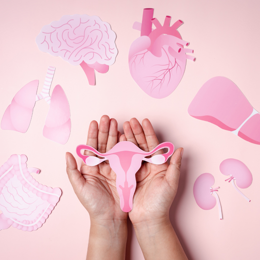 Mushrooms for Menopause = Natural Support for Hormones, Mood & Energy