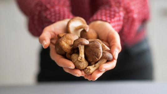 Exploring Antioxidants in Mushrooms