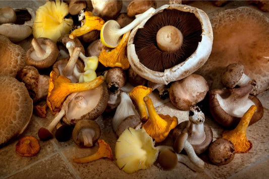 The Top 7 Trending Mushrooms of 2024 (so far!)