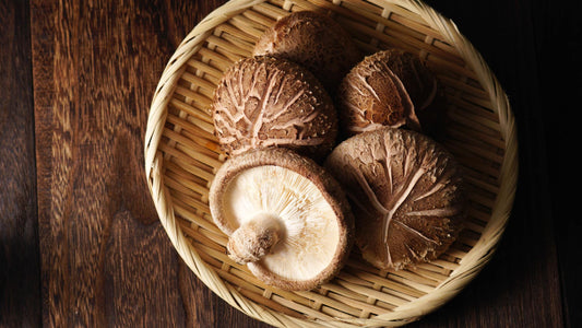 Comprehensive Guide to Shiitake Mushrooms
