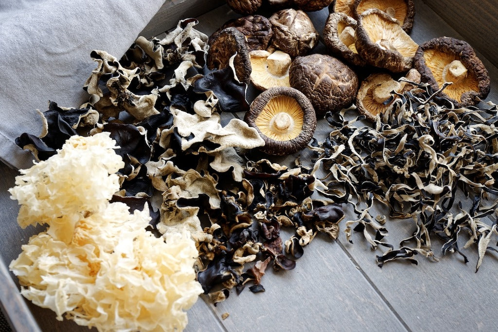 Best medicinal mushrooms for beautiful & healthy skin