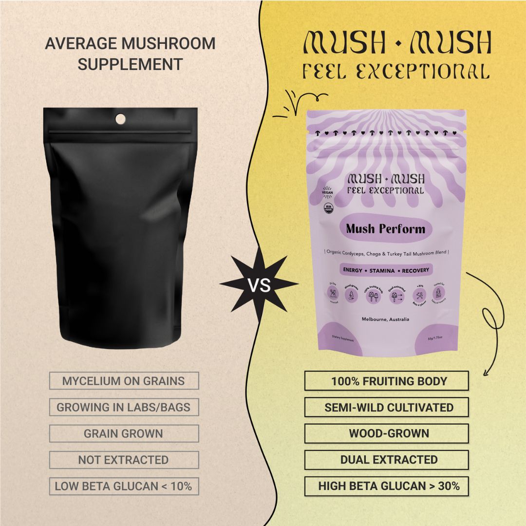 Mush Perform – Organic Cordyceps, Chaga & Turkey Tail Superblend